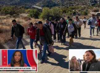 Abby Phillip Criticizes Kamala Harris on Immigration Stance: Analysis and Reactions news-24092024-165814