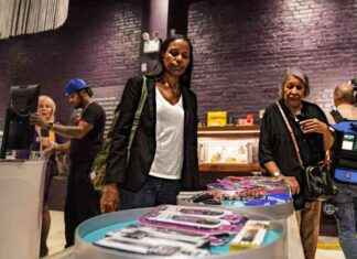 Guide to New York’s Cannabis Industry: Local Map for Beginners | amNewYork news-24092024-165956