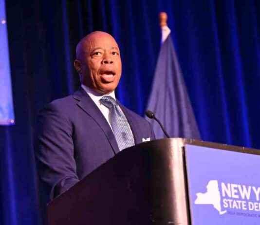 Yearly Achievements of New Yorkers: ‘Getting Stuff Done’ | Op-Ed by amNewYork news-24092024-170327