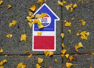 Improving NYC Board of Elections Training to Address Dysfunction news-24092024-170554