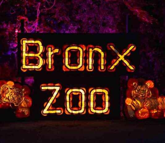 Spooky Fun Events Kick Off Fall in the Bronx news-24092024-171858