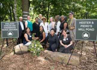 Reimagine Enslaved African Burial Ground in Van Cortlandt Park: Grant Awarded news-24092024-171953