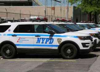 Bronx Fruit Vendor Killed in Baseball Bat Attack, NYPD Reports news-24092024-173523