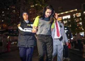 Suspect in East Village Subway Stabbing Caught with Multiple Knives | amNewYork news-24092024-183053