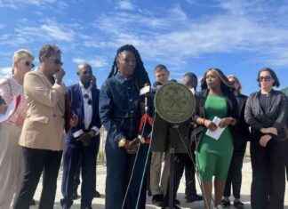 Promoting Water Safety: NYC Mother Advocates for Increased Swimming Education news-25092024-082302