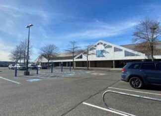 Bridgehampton Kmart Resilient Amid Challenges news-25092024-210501