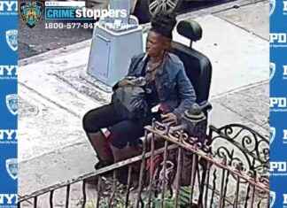 Suspect Sought for Electric Wheelchair Theft in Brooklyn news-26092024-054337