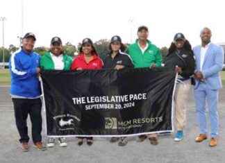Bronx Legislators Celebrate Victories at Yonkers Harness Race news-26092024-233519