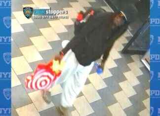 Manhunt for Machete-wielding Suspect in Concourse Village Store Robbery news-28092024-062411