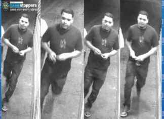Brooklyn Police Seek Suspects in Violent Shooting and Stabbing Incident news-29092024-104524