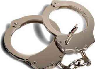 Man Escapes Handcuffs, Steals Police Car After DUI Arrest in Long Island news-29092024-225111