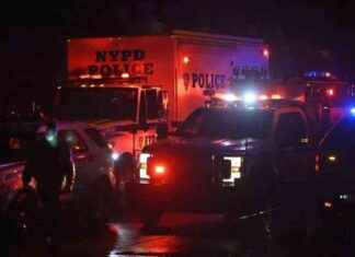 Four Men Stabbed in Brutal Brooklyn Apartment Assault: Police Update news-30092024-105141