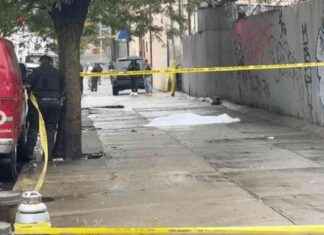 Man Executed in Bronx Afternoon Shooting – Latest News and Updates news-30092024-105206