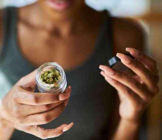 Impact of Legal Cannabis in New York: Three-Year Study Results news-04102024-000313