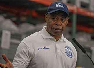 Crime Reduction: Analyzing Nine Months of Progress in NYC | amNewYork news-15102024-151423