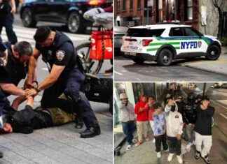 Title: Migrant Gang Tren de Aragua and Associates: 517 NYC Busts news-30102024-131133