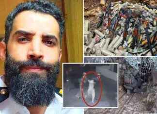 Elite Israeli Commandos Capture Top Hezbollah Official in Daring Beach Raid news-03112024-203943