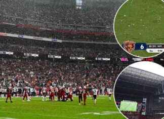 Unexpected Hail Storm Forces Cardinals to Close Roof for Bears Game news-04112024-024106