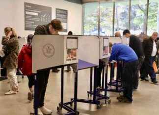 NYC Early Voting Ends with Over 1 Million Ballots Cast news-04112024-024136