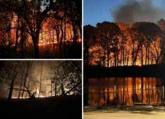 Firefighters Combat Blaze in Brooklyn’s Prospect Park in NYC’s Effort to Control Wildfires news-09112024-043108