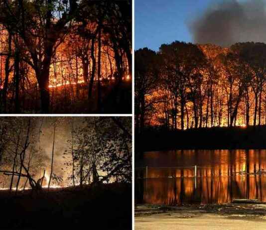 Firefighters Combat Blaze in Brooklyn’s Prospect Park in NYC’s Effort to Control Wildfires news-09112024-043108