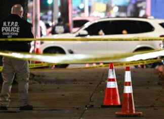 Armed Robbers Shoot Man Inside Store and Steal Watch in Queens: Police Investigation news-10112024-145013