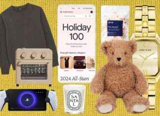 Top 100 Trending Christmas Gift Ideas 2024 | Google Search-Based Suggestions news-12112024-150708