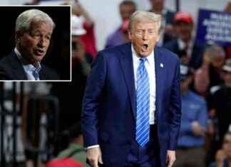 Trump Rejects Jamie Dimon for Administration Role, Ending Possibility of Appointment news-14112024-224451