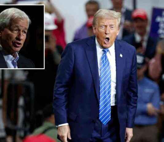 Trump Rejects Jamie Dimon for Administration Role, Ending Possibility of Appointment news-14112024-224451