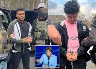 ICE arrests 3 illegal immigrants in Massachusetts for child rape charges news-21112024-124922