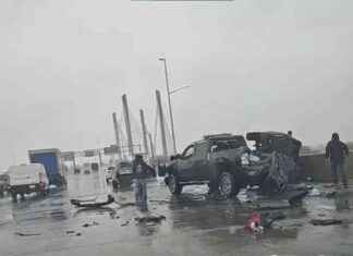 Deadly Chain-Reaction Crash on Kosciuszko Bridge Claims Life of 75-Year-Old Texan news-22112024-205306