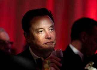 Understanding Trumpworld: Elon Musk’s Crash Course news-22112024-224625