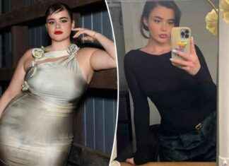 Barbie Ferreira’s Stunning Weight Transformation Leaves Fans in Awe news-27112024-225838