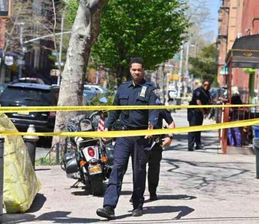 Teenager Charged with Daytime Execution Shooting in the Bronx news-28112024-170521