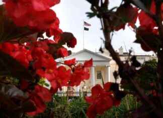 Navigating Trump Team’s Transparency Pledges Amid Transition Deal Rejection news-29112024-052542