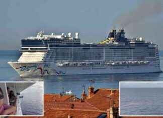 Search for Missing Cruise Passenger in Caribbean Ocean search-for-missing-cruise-passenger-in-caribbean-ocean