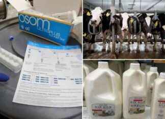 USDA Mandates Nationwide Milk Testing for Bird Flu Prevention usda-mandates-nationwide-milk-testing-for-bird-flu-prevention