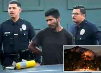 Illegal possession of flamethrower leads to arrest near Kenneth Fire – What you need to know llegal-possession-of-flamethrower-leads-to-arrest-near-kenneth-fire-what-you-need-to-know