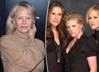 Pamela Anderson’s Near-Death Flight Scare: Terrifying Encounter with Misinformed Passenger pamela-andersons-near-death-flight-scare-terrifying-encounter-with-misinformed-passenger