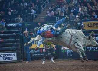 PBR Unleash The Beast Rodeo Sets Records at Madison Square Garden pbr-unleash-the-beast-rodeo-sets-records-at-madison-square-garden