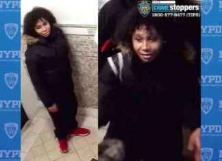 Teen Assaults Elderly Woman in Chelsea: Police Report teen-assaults-elderly-woman-in-chelsea-police-report