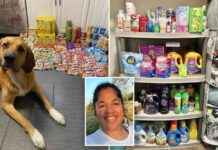 save-12k-shopping-with-coupons-the-obsession-with-saving