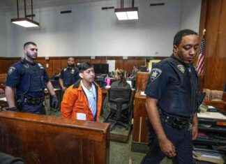 Times Square Brawl: Migrant Pleads Guilty, Cops Injured – Latest Update times-square-brawl-migrant-pleads-guilty-cops-njured-latest-update