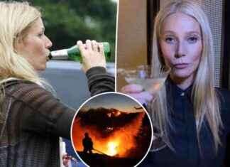 Gwyneth Paltrow Reveals Daily Drinking Habits in LA Crisis gwyneth-paltrow-reveals-daily-drinking-habits-in-la-crisis