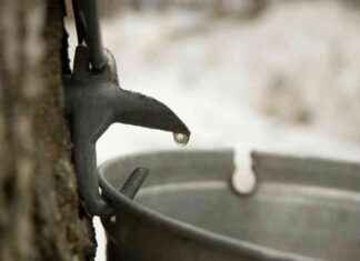 Maple Sugaring Locations in New York City Area maple-sugaring-locations-in-new-york-city-area