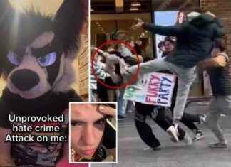 ‘Furry Influencer Kicked in Face: Shocking Video Footage Emerges’ furry-nfluencer-kicked-in-face-shocking-video-footage-emerges