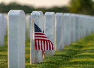 Memorial Day Reflections: Remembering, Honoring, and Taking Action memorial-day-reflections-remembering-honoring-and-taking-action