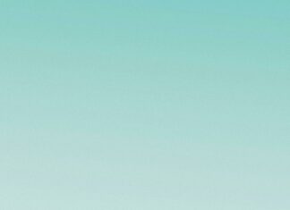 Buffalo Bills Vs New York Jets: Who Will Dominate The Field?