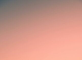 Dallas Cowboys vs New York Giants: Who Will Dominate the Field?