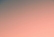 New York Jets Vs 49ers Stats: Who Dominates the Field?